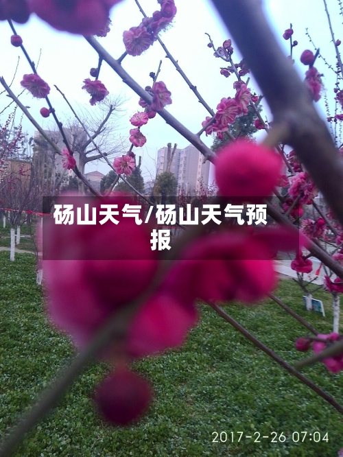 砀山天气/砀山天气预报-第1张图片