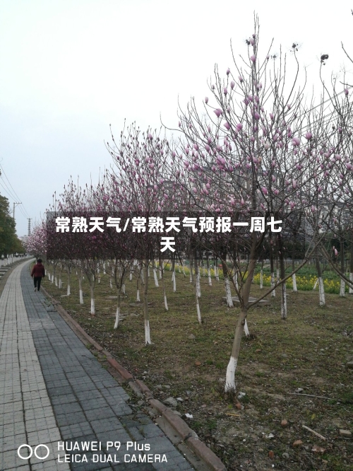 常熟天气/常熟天气预报一周七天-第1张图片
