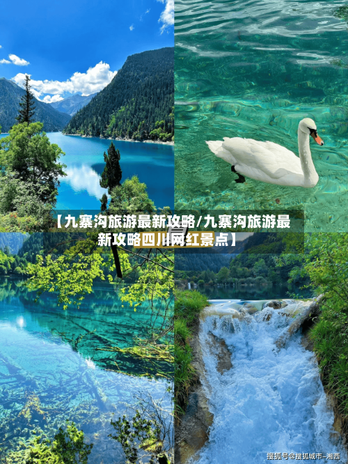 【九寨沟旅游最新攻略/九寨沟旅游最新攻略四川网红景点】-第1张图片
