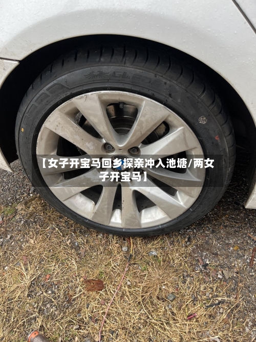 【女子开宝马回乡探亲冲入池塘/两女子开宝马】-第1张图片