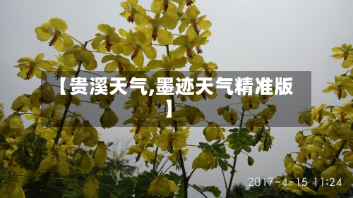 【贵溪天气,墨迹天气精准版】-第1张图片