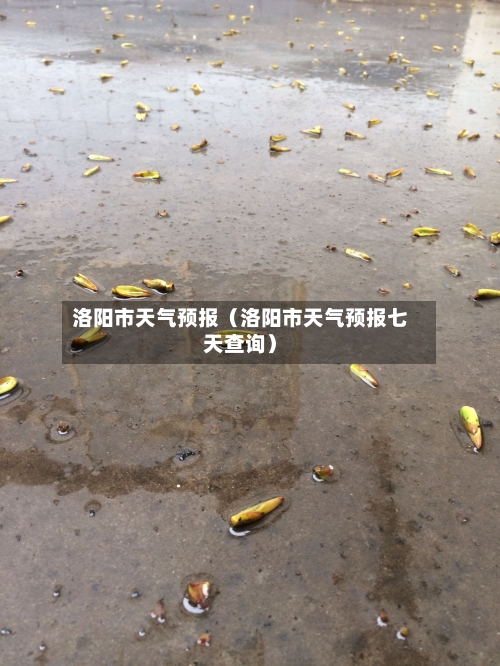 洛阳市天气预报（洛阳市天气预报七天查询）-第1张图片