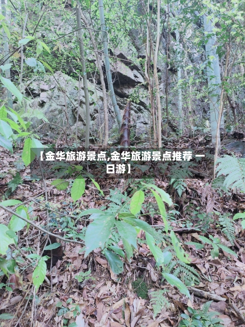 【金华旅游景点,金华旅游景点推荐 一日游】-第1张图片