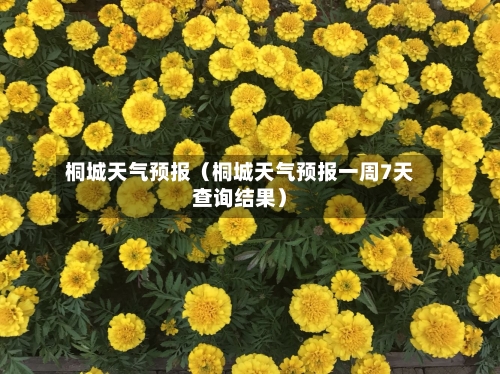 桐城天气预报（桐城天气预报一周7天查询结果）-第1张图片