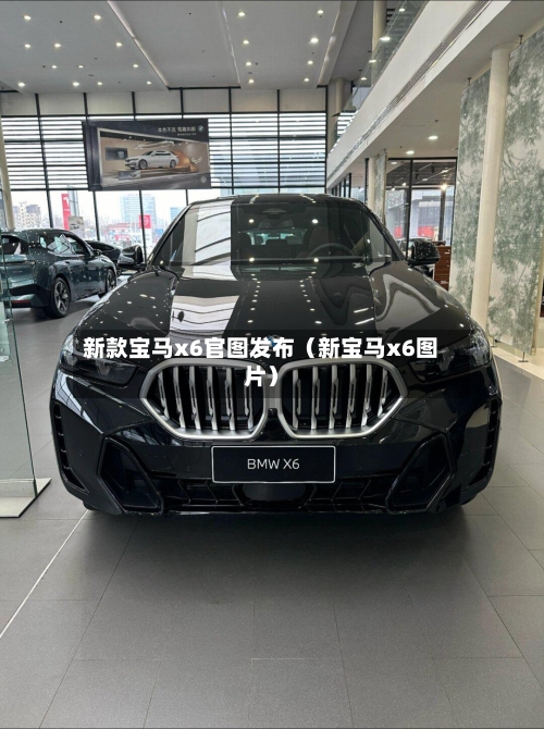 新款宝马x6官图发布（新宝马x6图片）-第1张图片