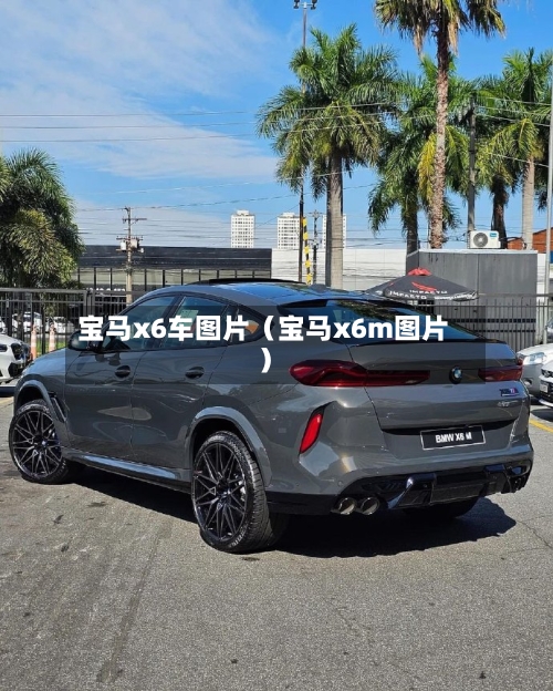 宝马x6车图片（宝马x6m图片）-第1张图片