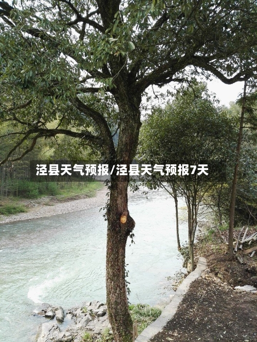 泾县天气预报/泾县天气预报7天-第1张图片