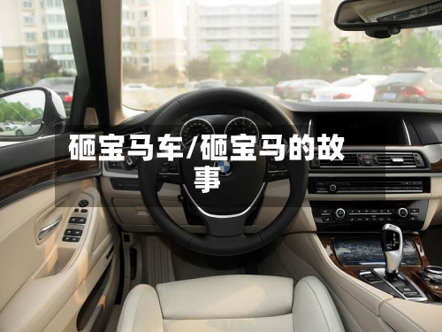 砸宝马车/砸宝马的故事-第1张图片